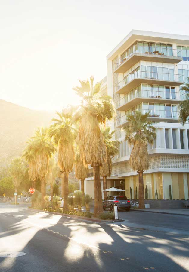 Sunny photo of hotel in Palm Springs with palm trees