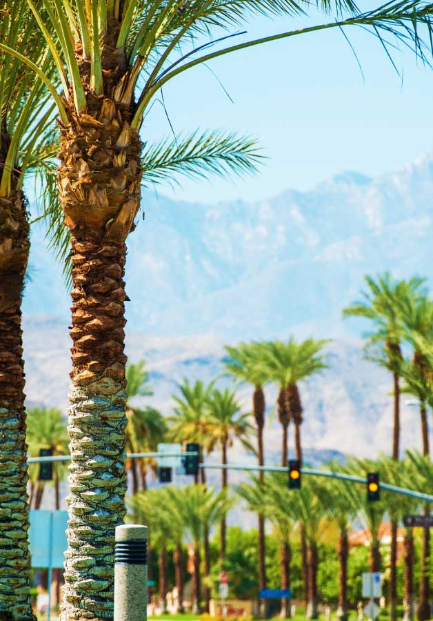 image of Coachella Valley and palm trees