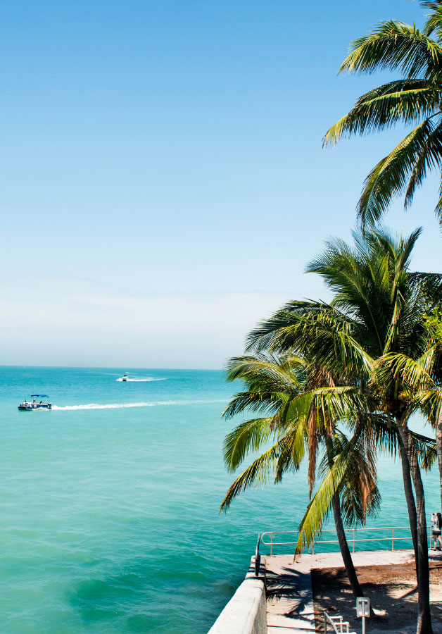 Florida Keys coast with palm trees and sun