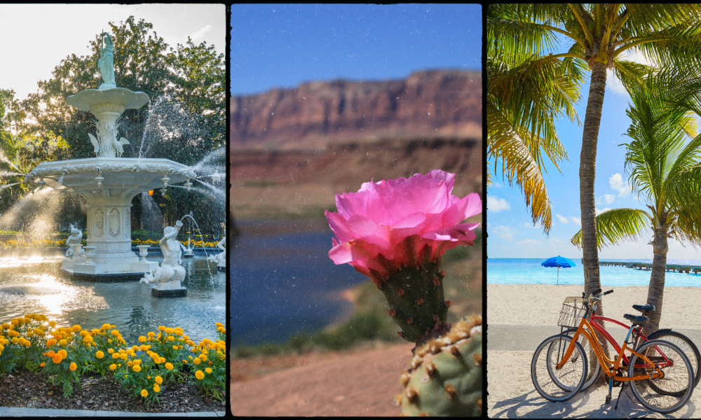 Spring into Adventure-Top Destinations for Monthly Rentals in March, April, and May.png