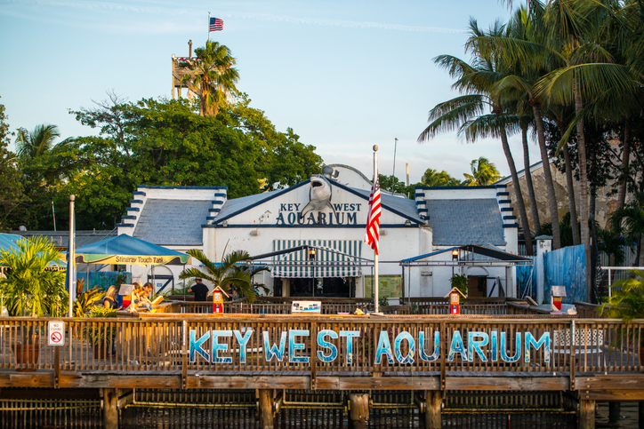 Key West, USA  - January 8, 2015: Key West Aquarium. Few people visible inside.